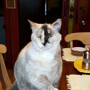 Meet your Posher, Marcia